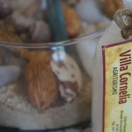 Pia Cornelia مزرعة للإقامة