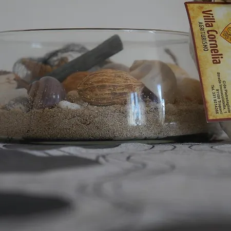 Pia Cornelia 农家乐